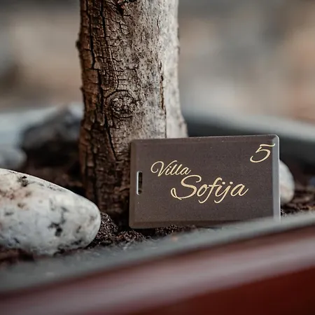 Sofija أوهغيد